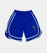 Trapstar Iron Gate Shorts Blue (2)
